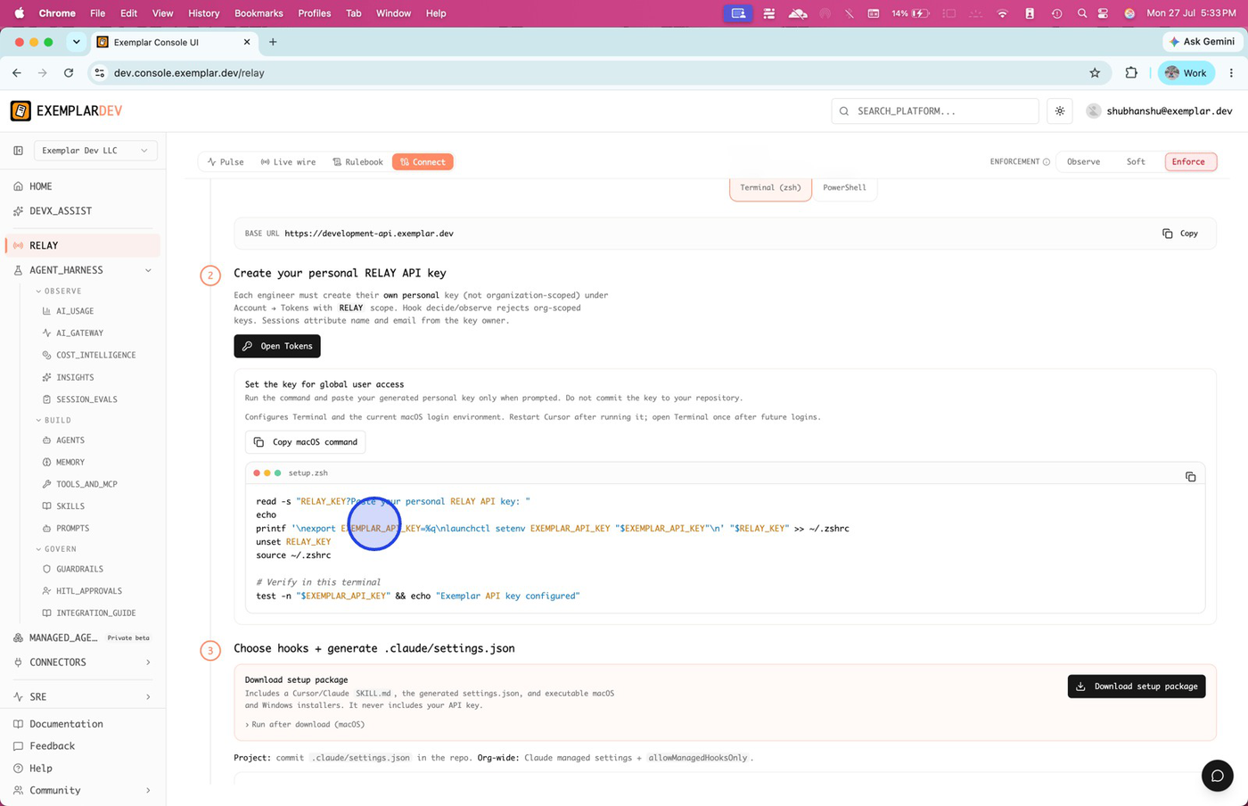 Connect step showing API key copy control