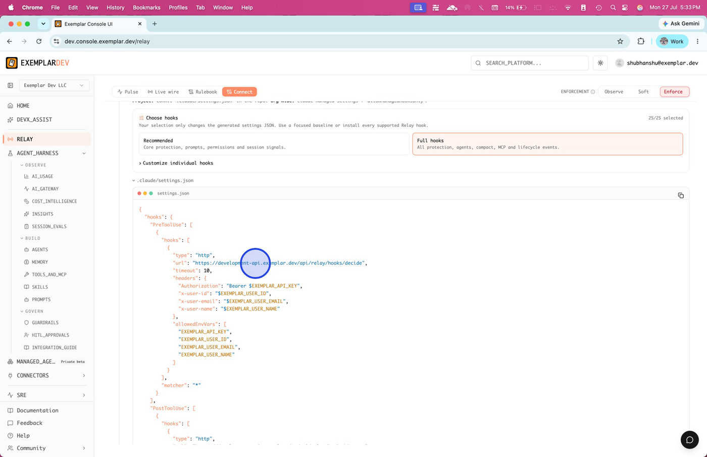 Connect panel with copy controls for endpoint and config